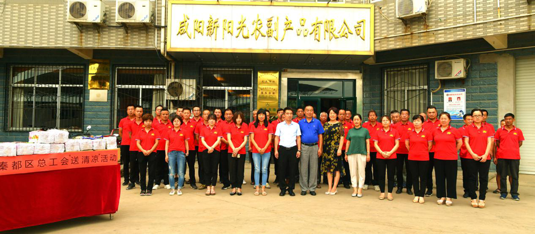 图片12